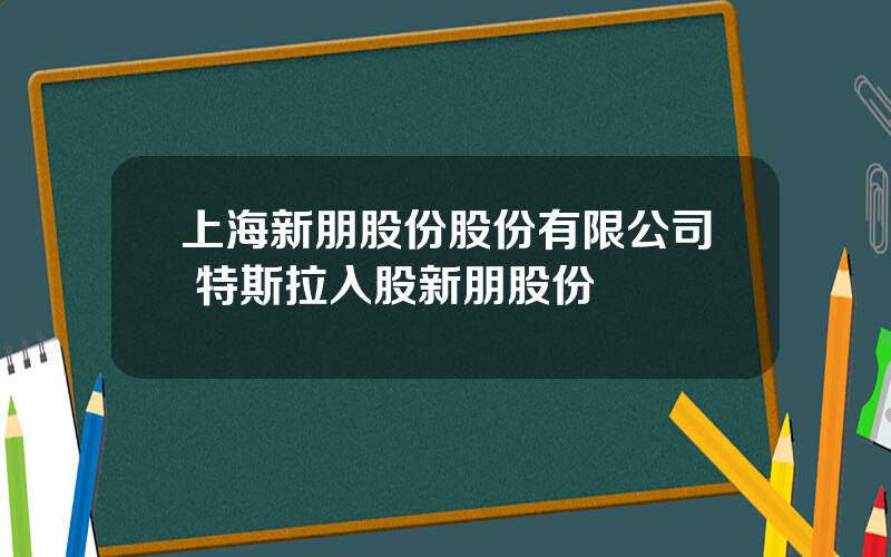 上海新朋股份股份有限公司 特斯拉入股新朋股份